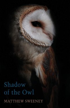 Shadow of the Owl - Sweeney, Matthew