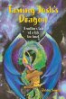 Taming Josh's Dragon - Bild 1