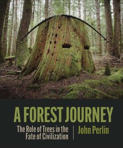 A Forest Journey - Perlin, John