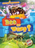 Bee or Wasp?