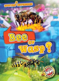 Bee or Wasp? - Chang, Kirsten