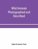 Wild animals photographed and described