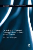 The Making of Indigeneity, Curriculum History, and the Limits of Diversity