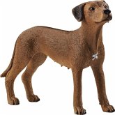 Schleich 13895 - Farm World, Rhodesian Ridgeback, Hund, Tierfigur Schleich 13895 - Farm World, Rhodesian Ridgeback, Hund, Tierfigur