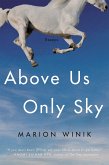 Above Us Only Sky (eBook, ePUB)