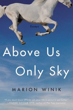 Above Us Only Sky (eBook, ePUB) - Winik, Marion