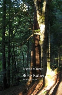 Böse Buben - Maurer, Brigitte