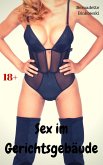 Sex im Gerichtsgebäude (eBook, ePUB)