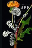 Birmingham Poetry Review (eBook, ePUB) Birmingham Poetry Review (eBook, ePUB)