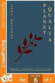 Planet Qualia (eBook, ePUB)