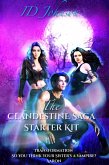 The Clandestine Saga Starter Kit (eBook, ePUB)