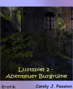 Cover Lustspiel 2 - Abenteuer Burgruine (eBook, ePUB)