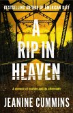 A Rip in Heaven (eBook, ePUB)