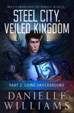 Steel City, Veiled Kingdom, Part 2: Going Underground (eBook, ePUB)