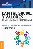 Capital social y valores en la organización sustentable (eBook, PDF)