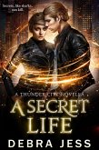 A Secret Life: A Thunder City Novella (Thunder City "Secrets" Series, #3) (eBook, ePUB)