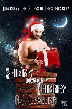 Shimmy Down the Chimney (eBook, ePUB) - Llewellyn, A. J.