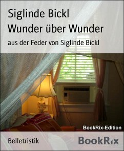 Wunder über Wunder (eBook, ePUB) - Bickl, Siglinde