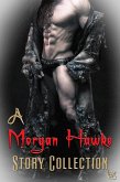 A Morgan Hawke Story Collection (eBook, ePUB) A Morgan Hawke Story Collection (eBook, ePUB)