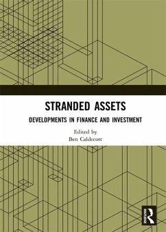 Cover Stranded Assets (eBook, ePUB)