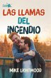 Las llamas del incendio (eBook, ePUB) - Bild 1