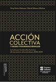Acción colectiva y redes transnacionales (eBook, ePUB)