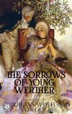 The Sorrows of Young Werther (Illustrated) (eBook, ePUB)