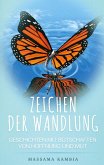 Zeichen der Wandlung (eBook, ePUB)