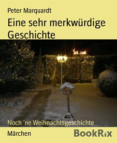 Eine sehr merkwürdige Geschichte (eBook, ePUB) - Marquardt, Peter