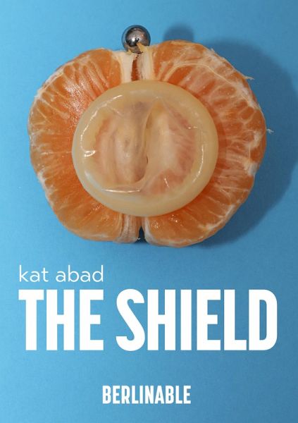 The Shield (eBook, ePUB) The Shield (eBook, ePUB)