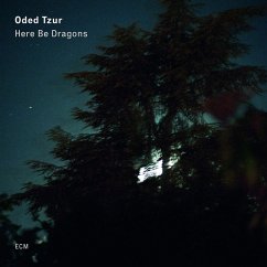 Here Be Dragons - Tzur,Oded