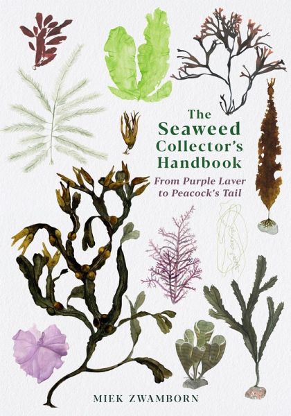 The Seaweed Collector's Handbook (eBook, ePUB) The Seaweed Collector's Handbook (eBook, ePUB)