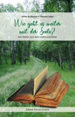 Wie geht es weiter mit der Seele? - Brülisauer, Ulrike;Joller, Thomas