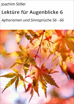 Lektüre für Augenblicke 6 (eBook, ePUB) - Stiller, Joachim