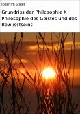 Grundriss der Philosophie X Philosophie des Geistes und des Bewusstseins (eBook, ePUB)