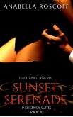Sunset Serenade (Indecency Suites, #3) (eBook, ePUB)