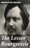 The Lesser Bourgeoisie (eBook, ePUB)