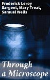 Through a Microscope (eBook, ePUB)