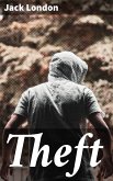 Theft (eBook, ePUB)