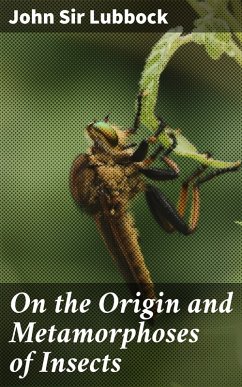 On the Origin and Metamorphoses of Insects (eBook, ePUB) - Lubbock, John