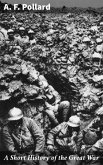A Short History of the Great War (eBook, ePUB)