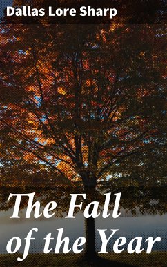 The Fall of the Year (eBook, ePUB) - Sharp, Dallas Lore