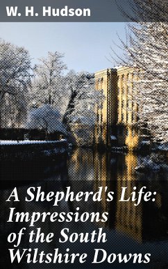 A Shepherd's Life: Impressions of the South Wiltshire Downs (eBook, ePUB) - Hudson, W. H.