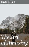 The Art of Amusing (eBook, ePUB)