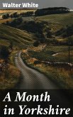 A Month in Yorkshire (eBook, ePUB)