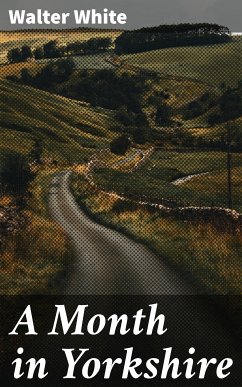 A Month in Yorkshire (eBook, ePUB) - White, Walter