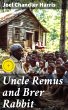 Uncle Remus and Brer Rabbit (eBook,... - Bild 1