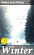 Winter (eBook, ePUB) - Bild 1