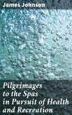 Pilgrimages to the Spas in Pursuit of Health and Recreation (eBook, ePUB)