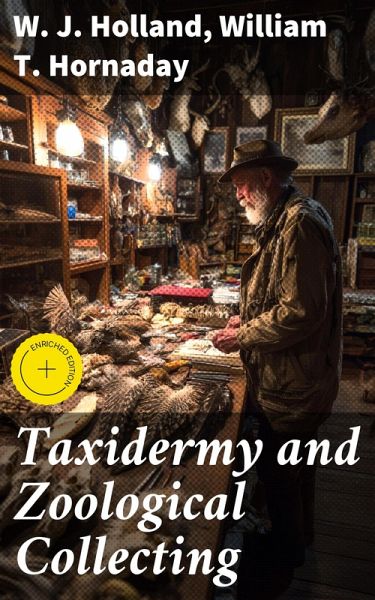 Taxidermy and Zoological Collecting (eBook, ePUB)